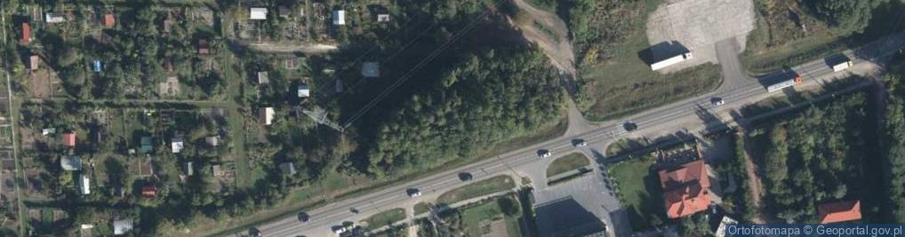 Zdjęcie satelitarne Zanocuj w lesie