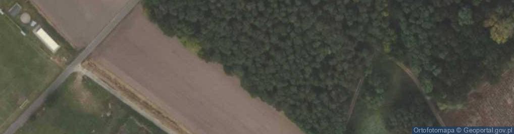 Zdjęcie satelitarne Zanocuj w lesie