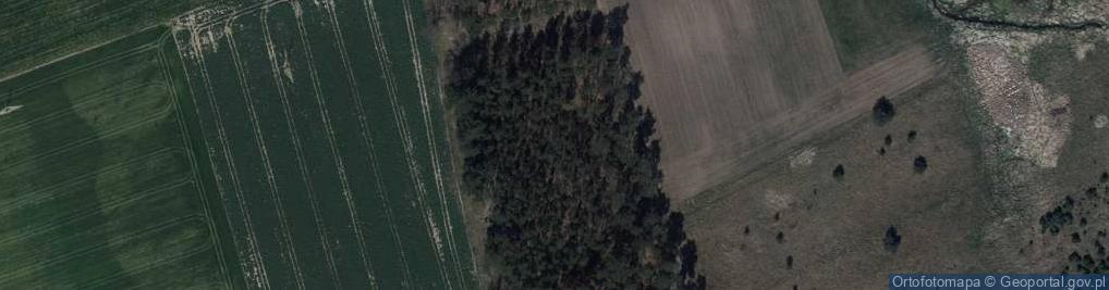 Zdjęcie satelitarne Zanocuj w lesie