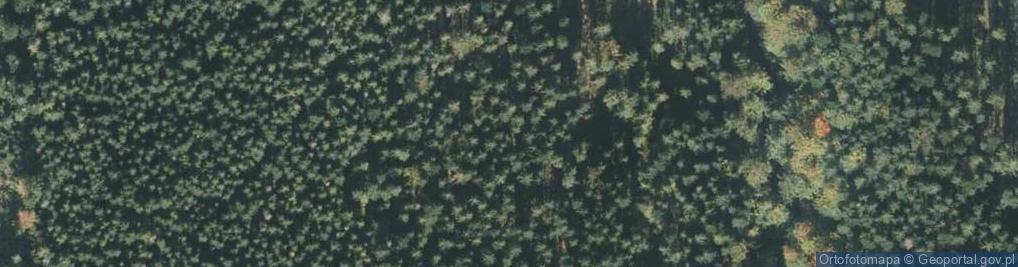 Zdjęcie satelitarne Zanocuj w lesie