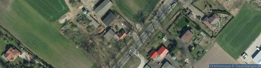 Zdjęcie satelitarne Borówno (jezioro w województwie wielkopolskim)