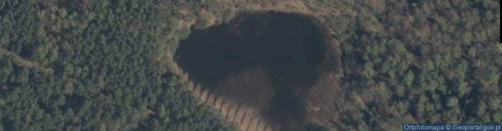 Zdjęcie satelitarne jez. Biały Ług