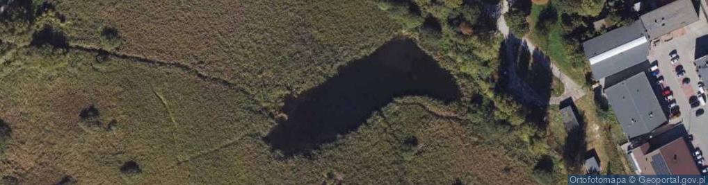 Zdjęcie satelitarne jez. Miałkosz