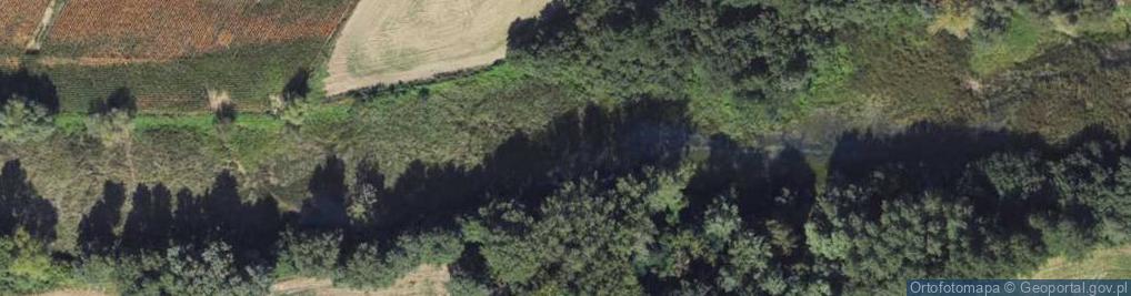 Zdjęcie satelitarne jez. Stara Wisła