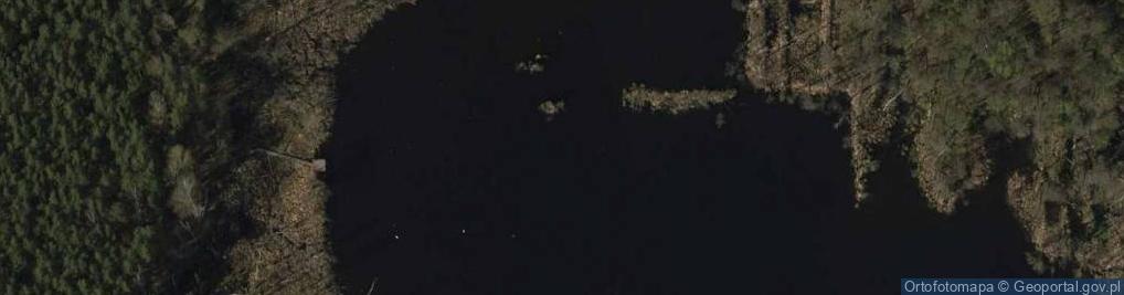 Zdjęcie satelitarne jez. Torfy