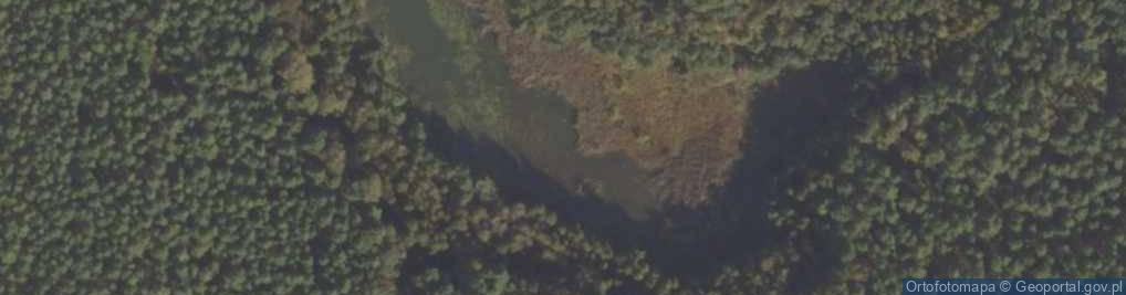 Zdjęcie satelitarne Rezerwat przyrody Torfowisko nad Jeziorem Świętym