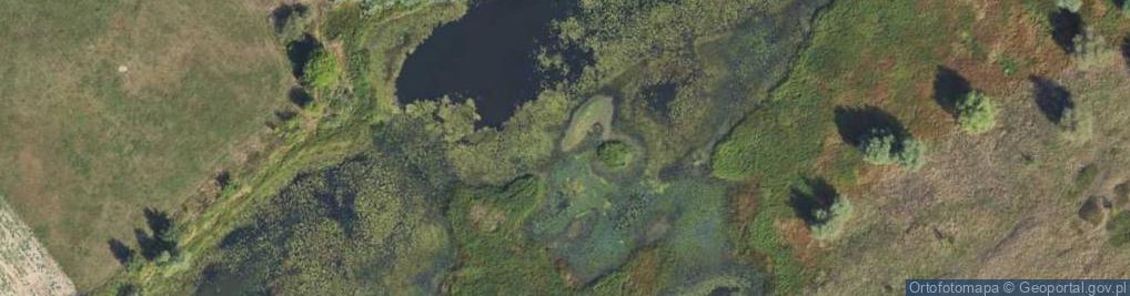 Zdjęcie satelitarne Stara Wisła