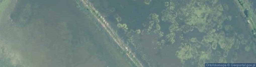 Zdjęcie satelitarne staw Chodnikowiec
