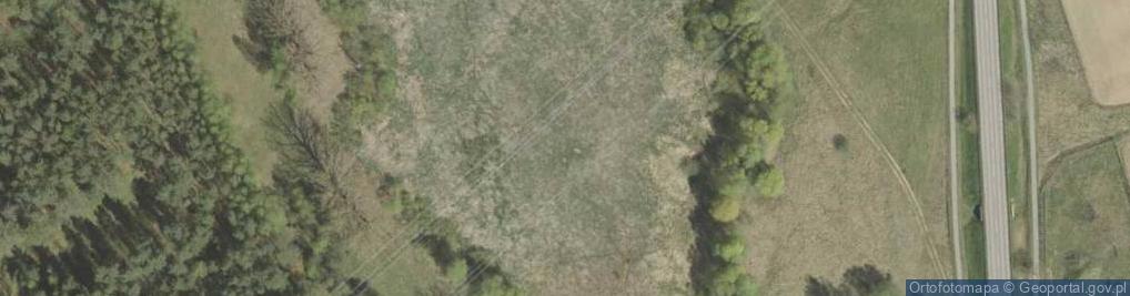 Zdjęcie satelitarne staw Dziegciarnia