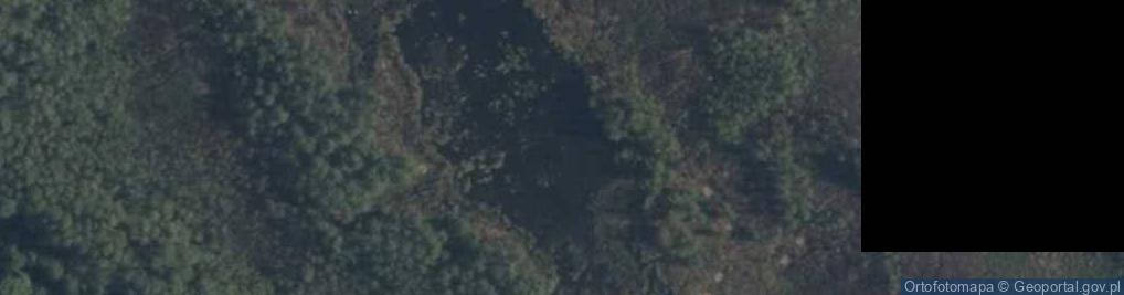 Zdjęcie satelitarne staw Pełko