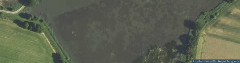 Zdjęcie satelitarne Staw Przedpolański