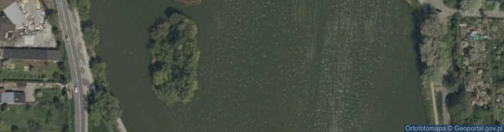 Zdjęcie satelitarne Staw Rybaczówka