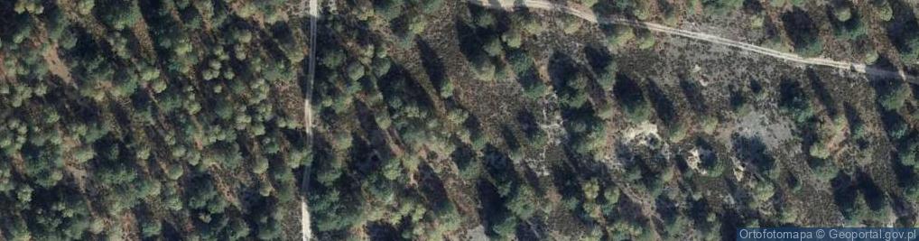 Zdjęcie satelitarne staw Sadzawka