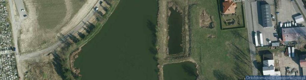 Zdjęcie satelitarne Staw Skrzynczyna