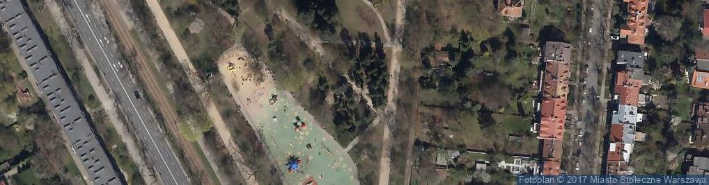 Zdjęcie satelitarne Abies concolor Zeromskiego 2