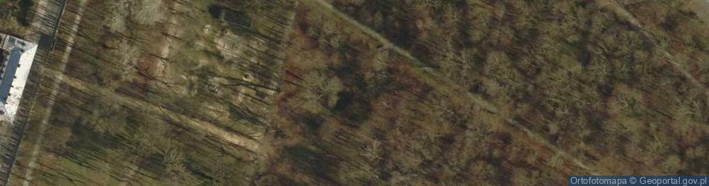 Zdjęcie satelitarne Aleja w Parku Miejskim