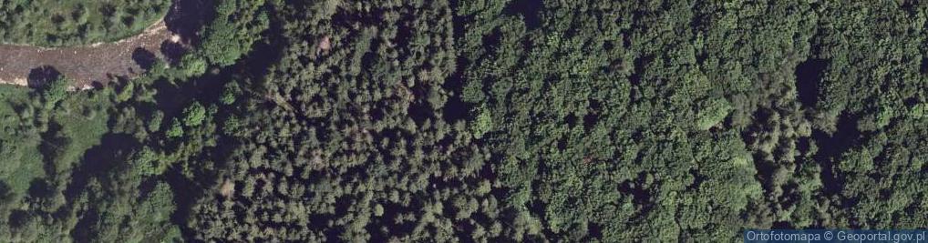 Zdjęcie satelitarne Beskidy Bieszczady