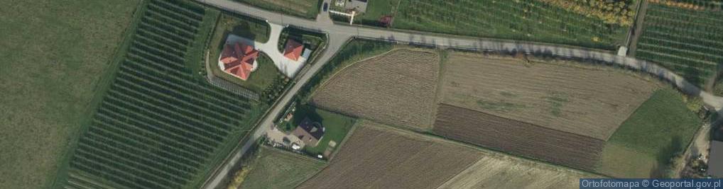 Zdjęcie satelitarne Białawoda (woj małopolskie)-las