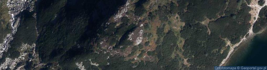 Zdjęcie satelitarne Buczynowe Turnie z Wyzniej Kopy