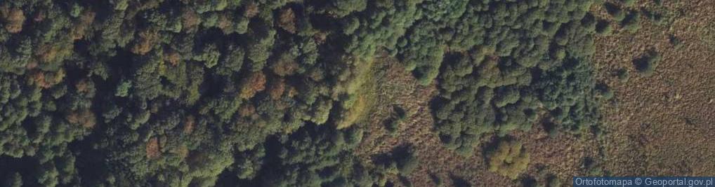 Zdjęcie satelitarne Cisy06(js)