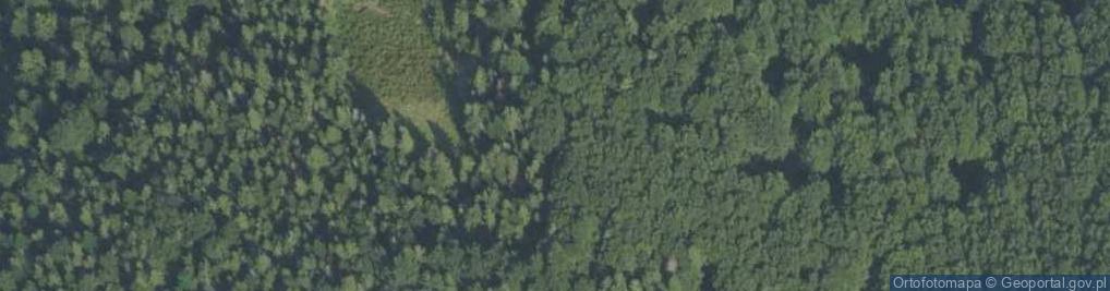 Zdjęcie satelitarne Ćwilin i Śnieżnica a2