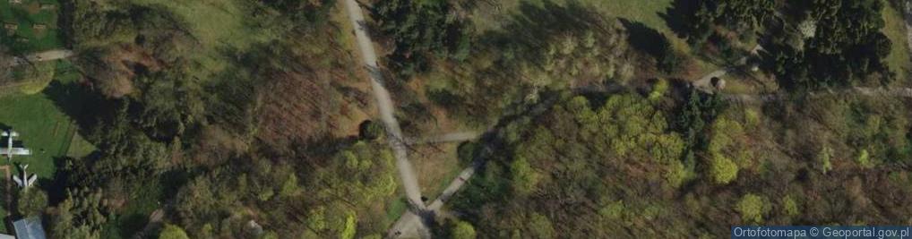 Zdjęcie satelitarne Cytadela Poznań - kasztanowiec tabliczka
