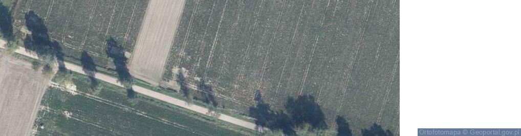 Zdjęcie satelitarne Dakowy mokre temple