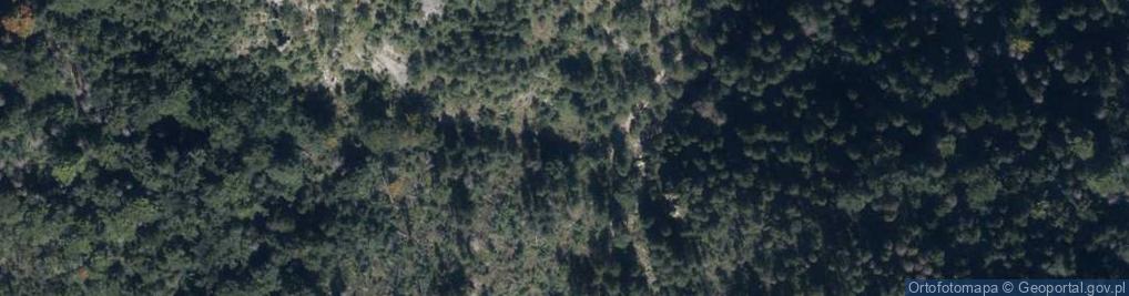 Zdjęcie satelitarne Dolina Białego