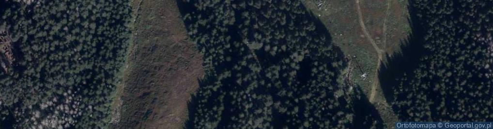 Zdjęcie satelitarne Dolina Goryczkowa a1