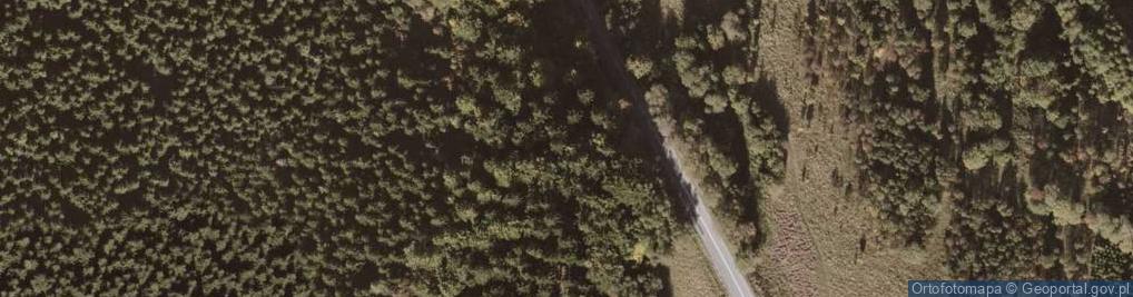 Zdjęcie satelitarne Droga krajowa 389 fragment 13.06.09 p