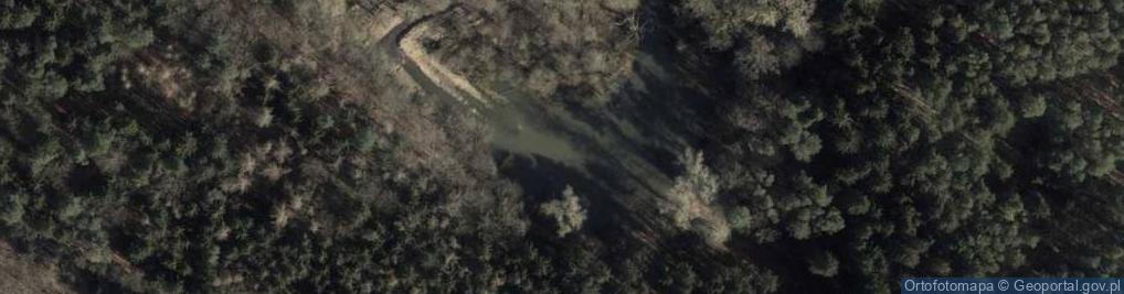Zdjęcie satelitarne Głuszec