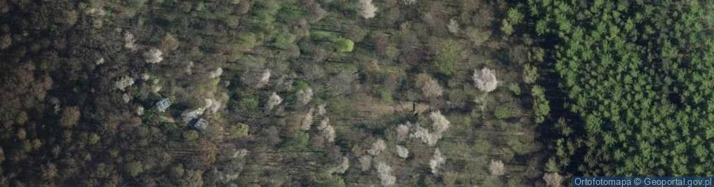 Zdjęcie satelitarne Góra Parkowa (Góry Sowie)-panorama