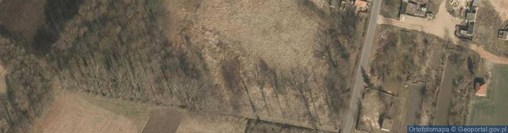 Zdjęcie satelitarne Gorzyn Palace winter 2010 front view 2