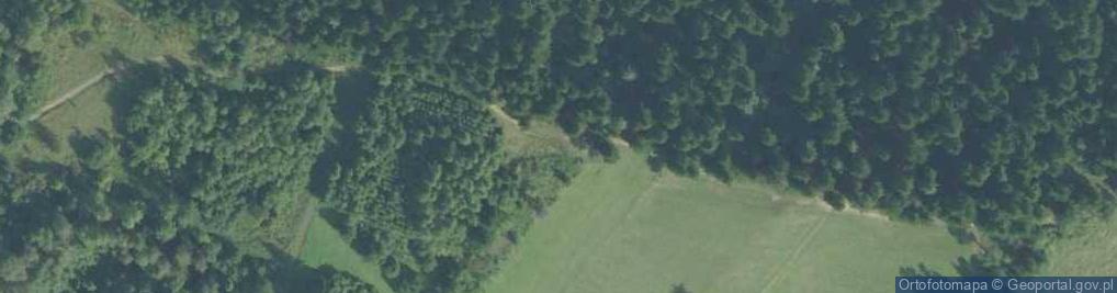 Zdjęcie satelitarne Grzebien (Gorce)