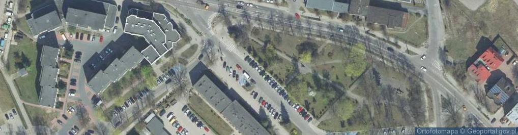 Zdjęcie satelitarne Hajnowka pomnik Zubra front