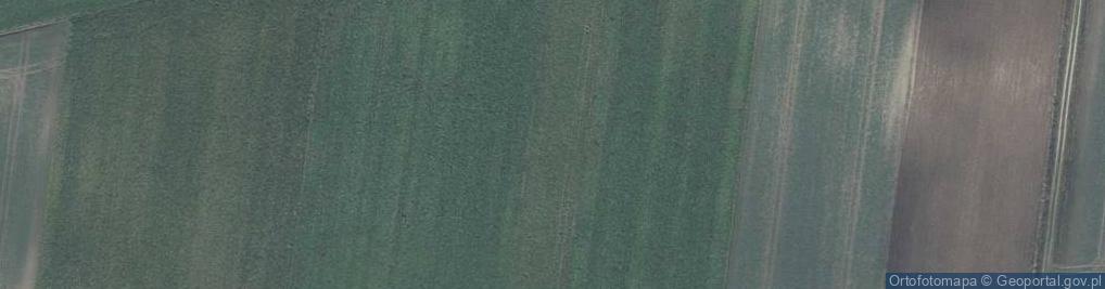 Zdjęcie satelitarne Horodło Pawilon