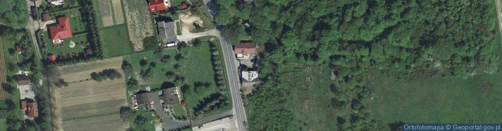 Zdjęcie satelitarne Januszowice - zajazd