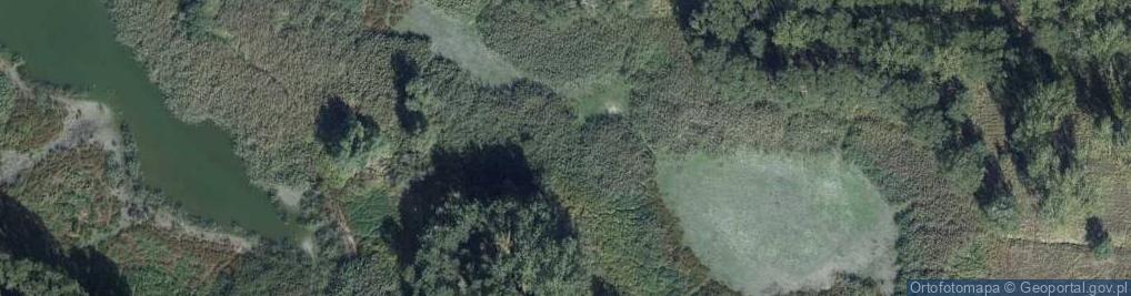 Zdjęcie satelitarne Jezioro Nowe 4