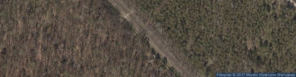 Zdjęcie satelitarne Kabaty Forest rail tracks