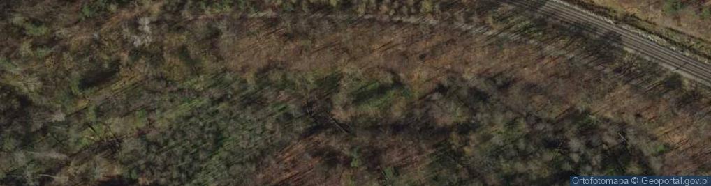 Zdjęcie satelitarne Kacze legi 3335