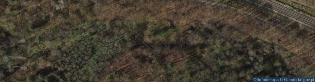 Zdjęcie satelitarne Kacze legi 3338