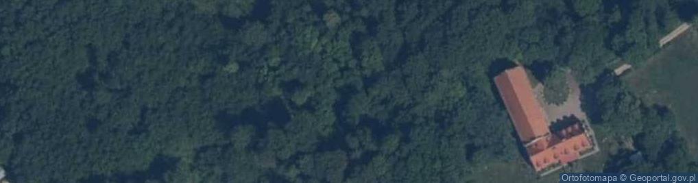 Zdjęcie satelitarne Kadyny klasztor Franciszkanow tyl