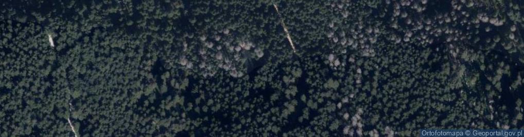 Zdjęcie satelitarne Kasprowy Stawek