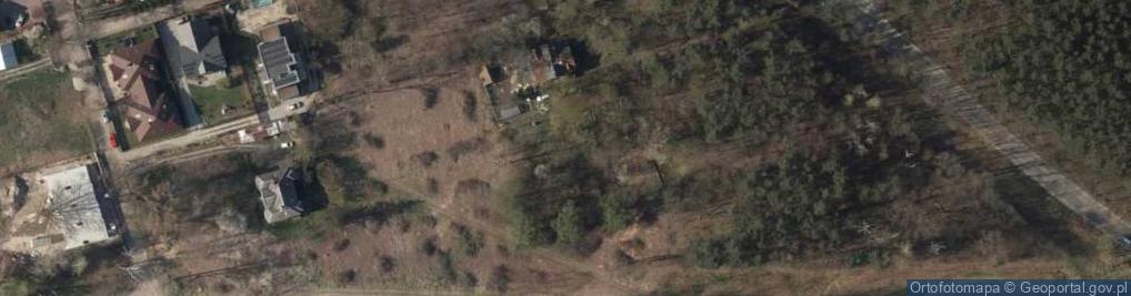 Zdjęcie satelitarne Larix decidua panorama Marki 8