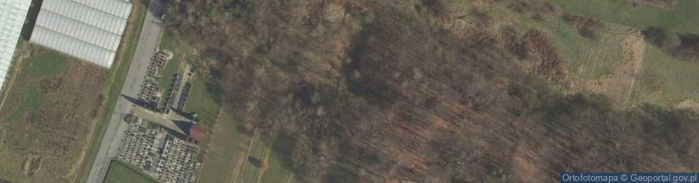 Zdjęcie satelitarne Leszczyna310 10