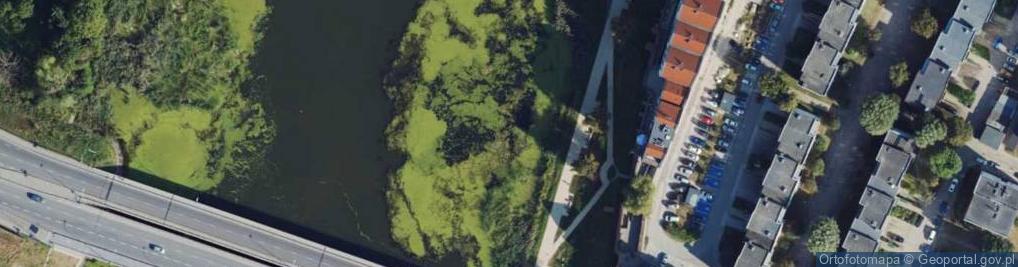 Zdjęcie satelitarne Malbork, most přes Nogat