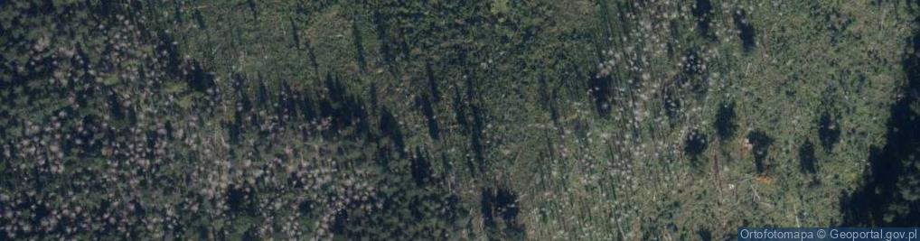 Zdjęcie satelitarne Mały Regiel T58-3