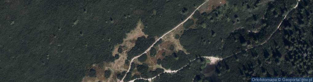 Zdjęcie satelitarne Mokra Jama