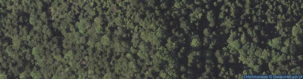 Zdjęcie satelitarne Mountain Spalona in Beskid Niski02