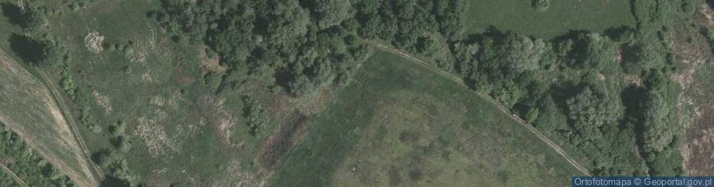 Zdjęcie satelitarne Nisko oczyszczalnia sciekow